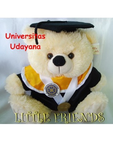 Boneka Wisuda Universitas Udayana - FMIPA (30 cm)